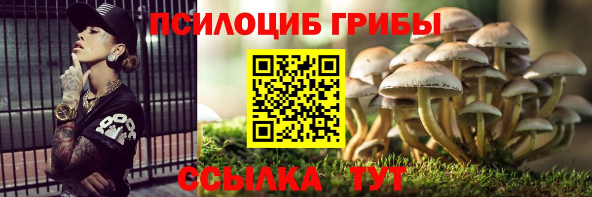 Касимов  Псилоцибиновые грибы мухоморы  Псилоцибиновые грибы Psilocybe  Вход с VPN 